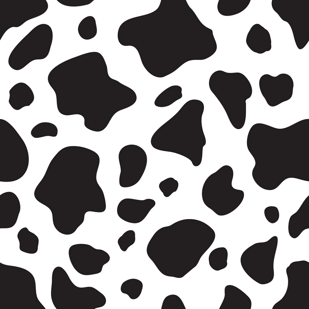 Black Cow Print