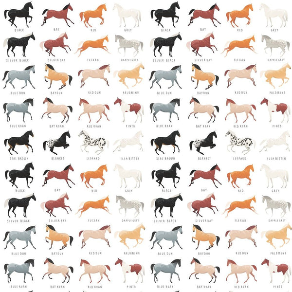 Horse Coat Colors Fabric - ineedfabric.com