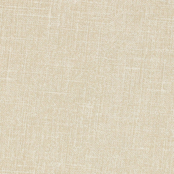 108" Grain of Color Quilt Backing - Tan - ineedfabric.com