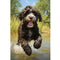 A Dog's Day Out Portuguese Water Dog Fabric Panel - ineedfabric.com
