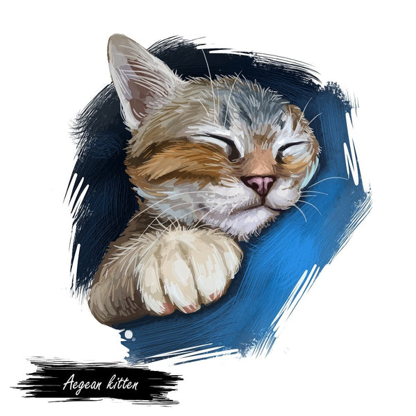 Aegean Kitten Portrait Fabric Panel - ineedfabric.com