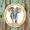 African Elephant Portrait Fabric Panel - ineedfabric.com