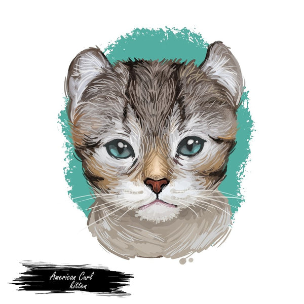 American Curl Kitten Portrait Fabric Panel - ineedfabric.com