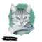 American Wirehair Cat Portrait Fabric Panel - ineedfabric.com