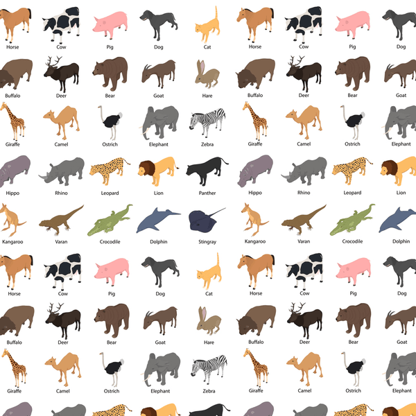 Animal Diagram Fabric - Multi - ineedfabric.com