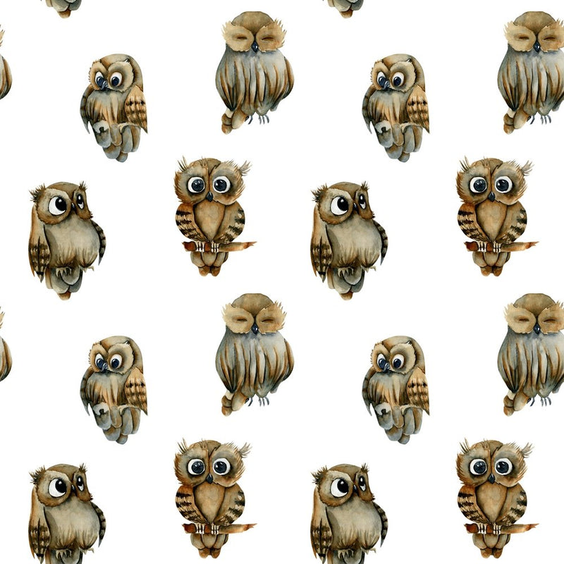 Animal Life Owls Fabric - ineedfabric.com
