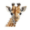 Baby Safari Animals Giraffe 1 Fabric Panel - ineedfabric.com