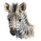 Baby Safari Animals Zebra 1 Fabric Panel - ineedfabric.com