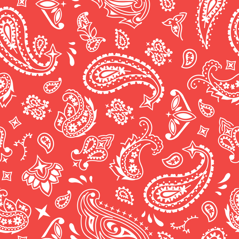 Bandana Fabric - Cinnabar - ineedfabric.com