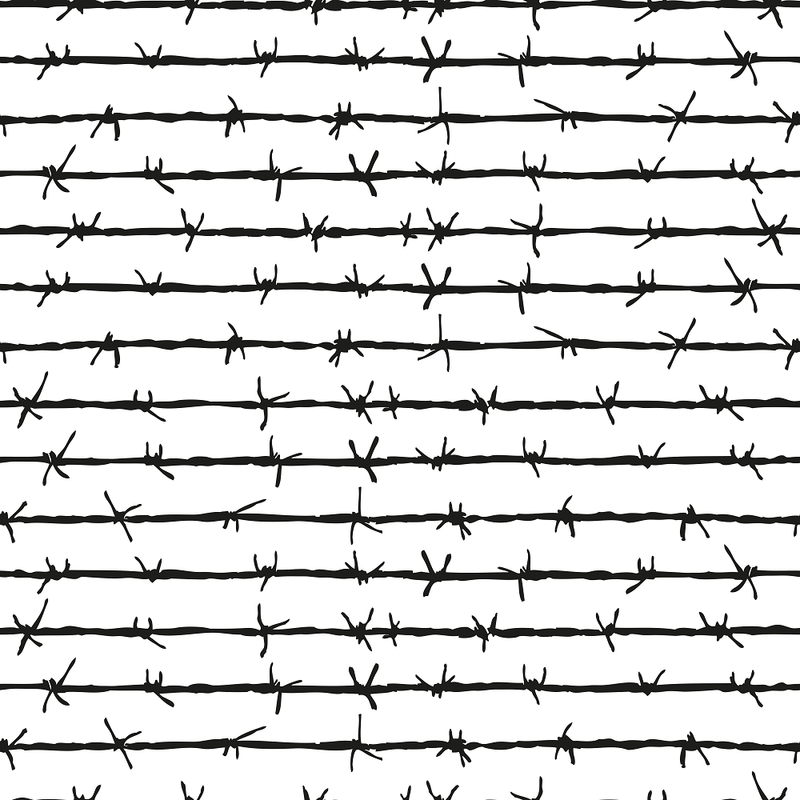 Barbed Wire Fabric - Black - ineedfabric.com