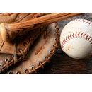 Baseball and Baseball Glove Fabric Panel - ineedfabric.com