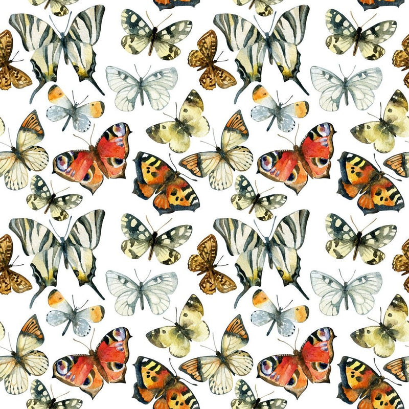 Beautiful Butterflies Fabric - White - ineedfabric.com
