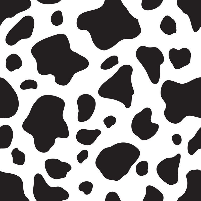 Black & White Cow Spot