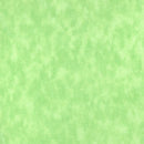 Blender Fabric - Paradise Green - ineedfabric.com