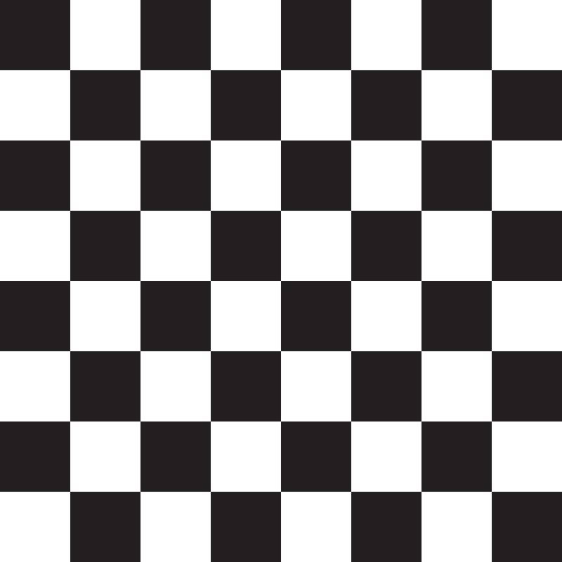 Checkered Basics Fabric - Black - ineedfabric.com