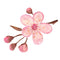 Cherry Blossom Fabric Panel - ineedfabric.com