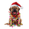 Christmas Lights & Mastiff Fabric Panel - ineedfabric.com