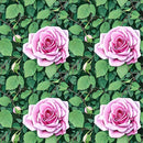 Close Up Rose Fabric - ineedfabric.com