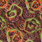 Color Craze Swirl Fabric - Chocolate - ineedfabric.com