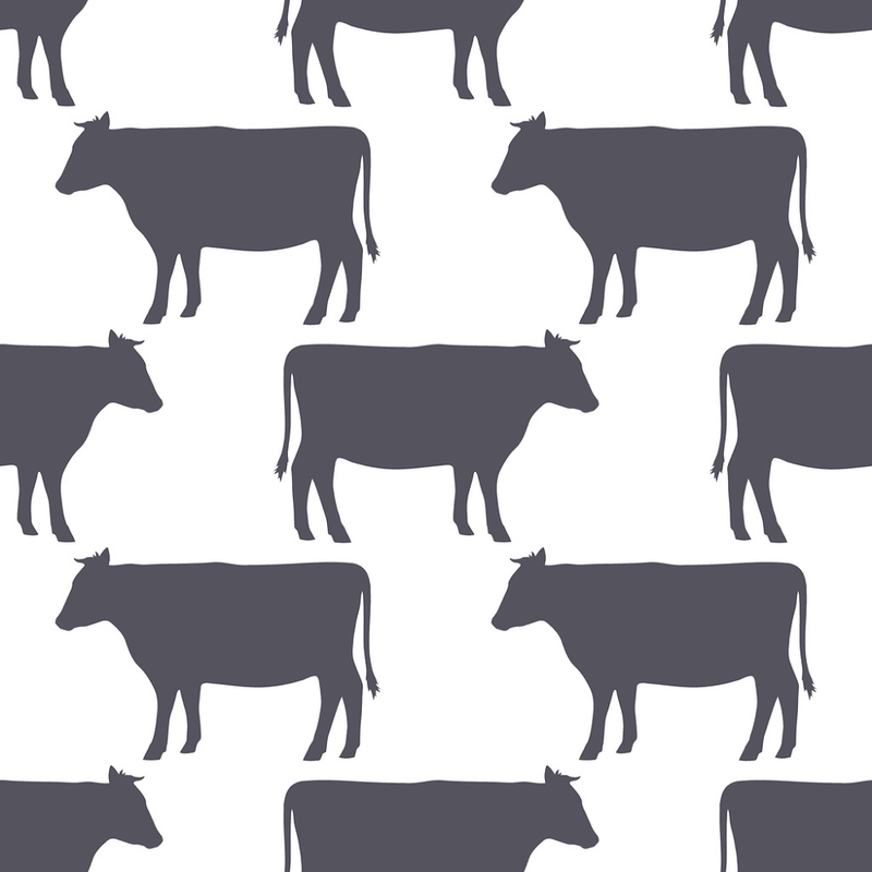Digitally Printed Cow Fabric - ineedfabric.com