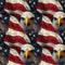 Eagles Over Flag Pattern 1 Fabric - ineedfabric.com