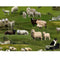 Elizabeth's Studio, Sheep Scenic Fabric - ineedfabric.com