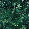 Emerald Forest Pattern 9 Fabric - ineedfabric.com