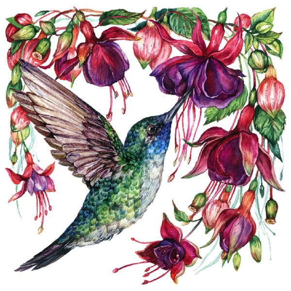 hummingbird and flower sketch