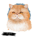 Exotic Shorthair Cat Portrait Fabric Panel - ineedfabric.com