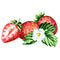 Fresh Strawberries Fabric Panel - ineedfabric.com