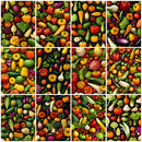 Fresh Veggies Fabric Collection - 1/2 Yard Bundle - ineedfabric.com