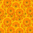 Gerbera Daisy Flowers Fabric - Orange - ineedfabric.com