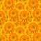 Gerbera Daisy Flowers Fabric - Orange - ineedfabric.com