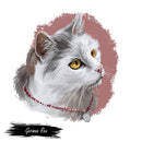 German Rex Kitten with Necklace Portrait Fabric Panel - ineedfabric.com