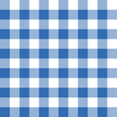 Gingham Fabric - Blue - ineedfabric.com