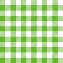 Gingham Fabric - Spring Green - ineedfabric.com