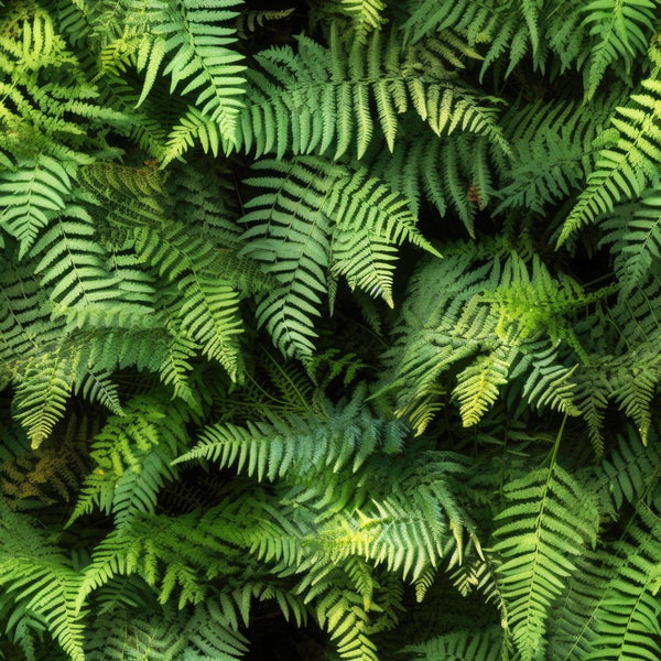 Green Ferns Fabric - ineedfabric.com