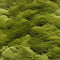 Ground Moss Pattern 1 Fabric - ineedfabric.com
