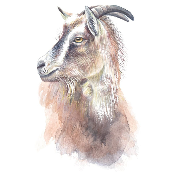 Hand Drawn Goat with Horns Fabric Panel - ineedfabric.com