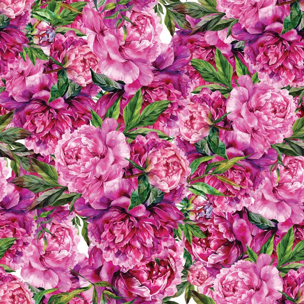 Hand Drawn Rose Peonies - Dark Pink - ineedfabric.com