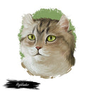 Highlander Cat Portrait Fabric Panel - ineedfabric.com