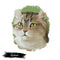 Highlander Cat Portrait Fabric Panel - ineedfabric.com