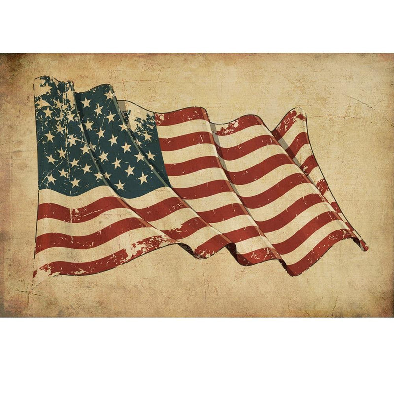 Historic American Flag Fabric Panel - 24" - ineedfabric.com