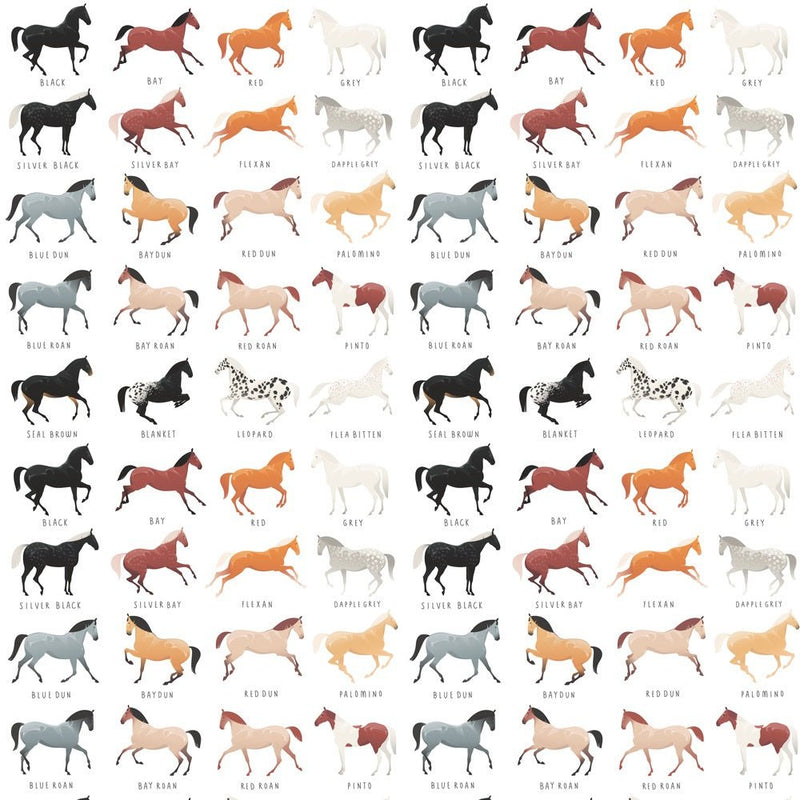 Horse Coat Colors Fabric - ineedfabric.com