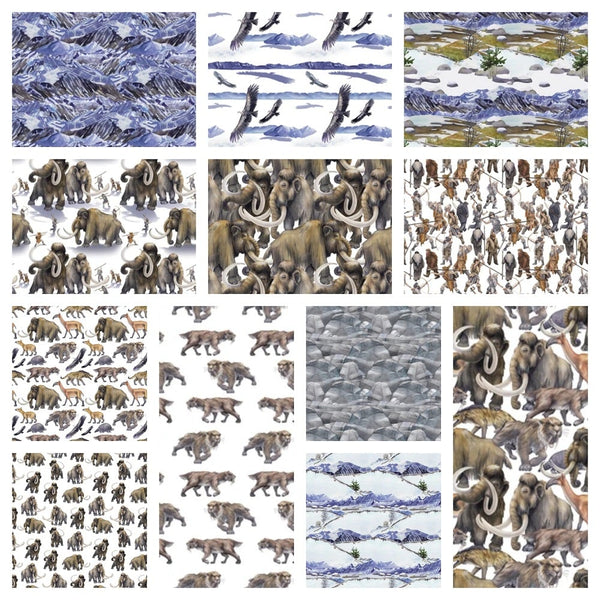 Ice Age Fat Quarter Bundle - 12 Pieces - ineedfabric.com