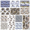 Ice Age Fat Quarter Bundle - 12 Pieces - ineedfabric.com