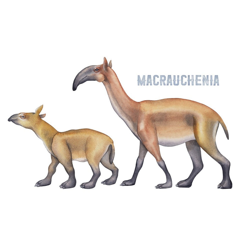 Ice Age Macrauchenias Fabric Panel - ineedfabric.com