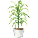 Indoor Green Plants Dracaena Fabric Panel - ineedfabric.com