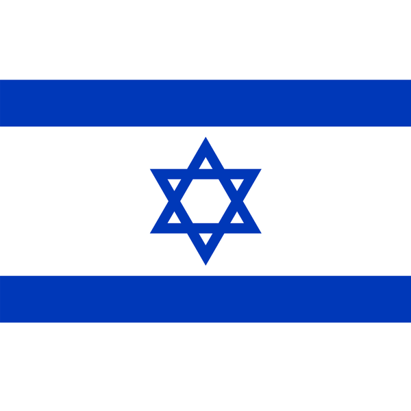 Israeli Flag Fabric Panel - ineedfabric.com