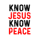 Know Jesus Know Peace Fabric Panel - ineedfabric.com